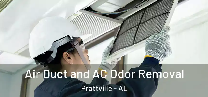  Air Duct and AC Odor Removal Prattville - AL
