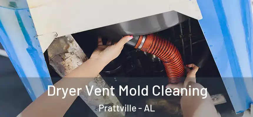 Dryer Vent Mold Cleaning Prattville - AL