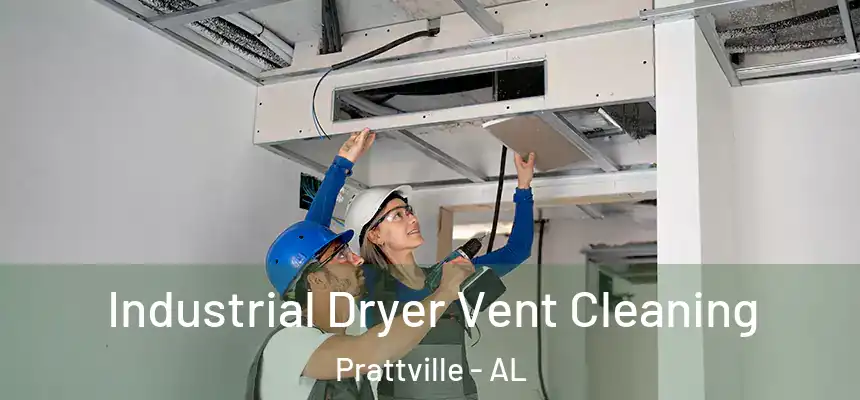  Industrial Dryer Vent Cleaning Prattville - AL