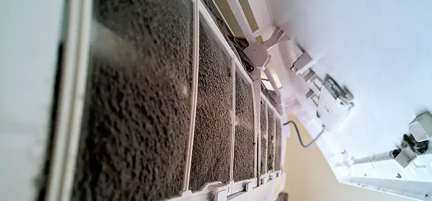 Preventive Air Duct Bacteria Removal in Prattville