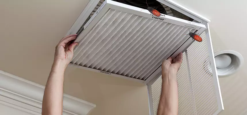 Preventive Cockroach-Proofing for Ducts in Prattville