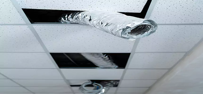 Our Air Duct Pet Hair Removal Services in Prattville, AL