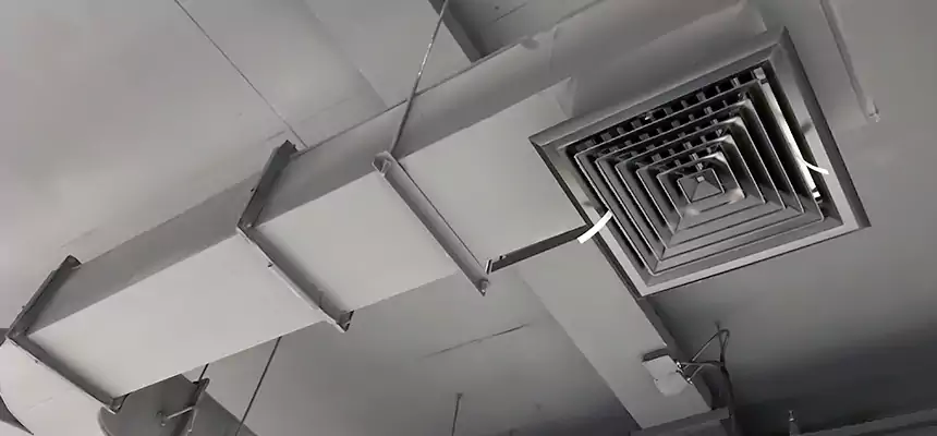 Restorative Allergy Relief Vent Cleaning – Coil, Blower & Housing Detail in Prattville