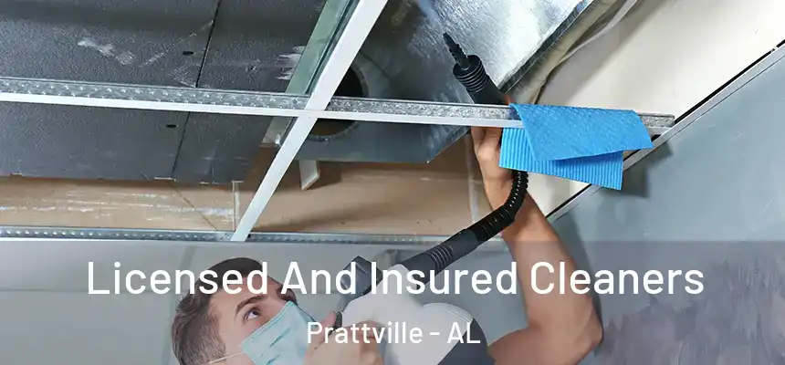  Licensed And Insured Cleaners Prattville - AL
