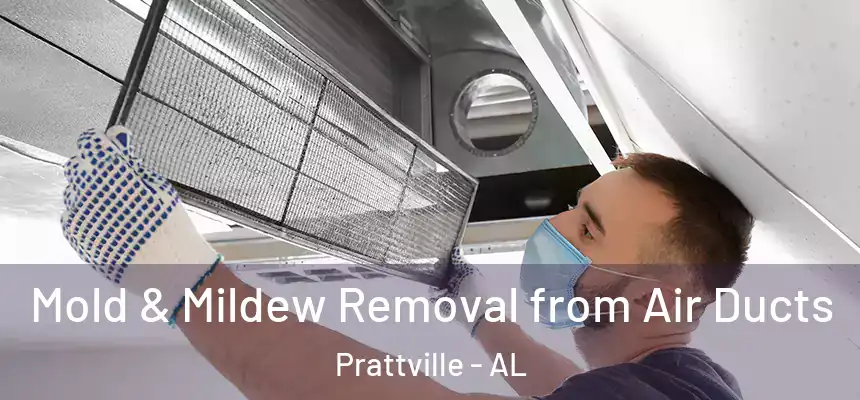  Mold & Mildew Removal from Air Ducts Prattville - AL