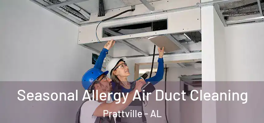 Seasonal Allergy Air Duct Cleaning Prattville - AL
