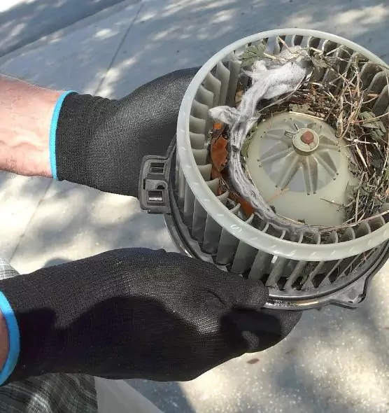 About Air Duct Mice Removal in Prattville, AL