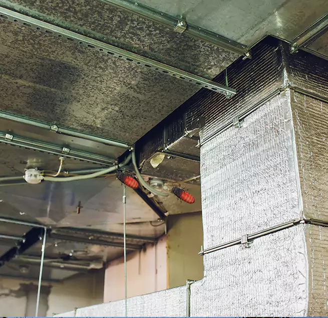 Why Homeowners & Businesses Trust Us in Prattville, AL?