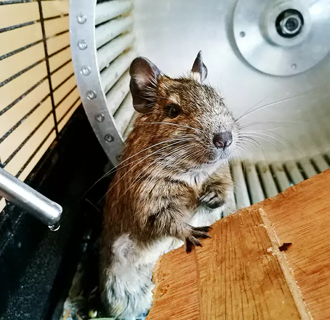 Why Homeowners & Businesses Trust Us Prattville, AL?